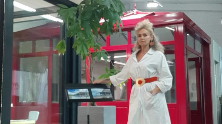 Conseillère commerciale présentant un projet véranda